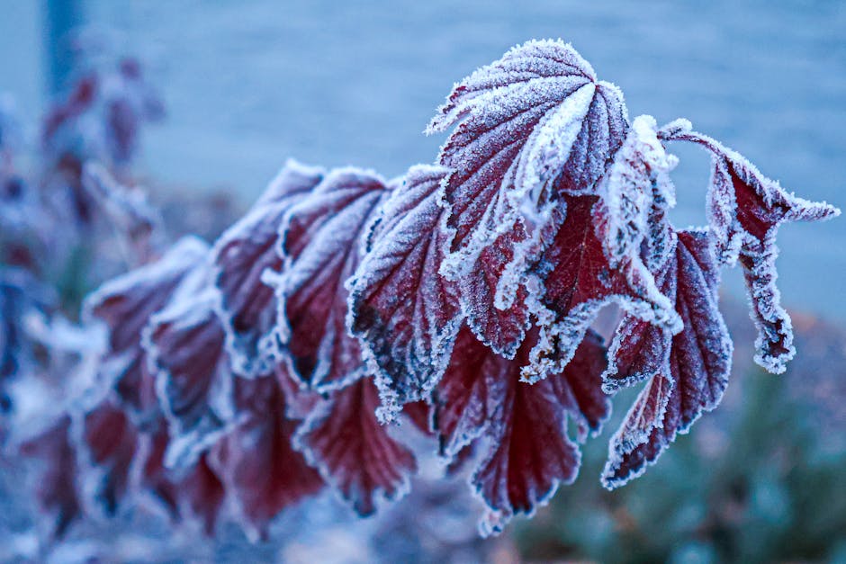 為心靈尋找一縷光：水晶，不只是飾品，更是溫柔的陪伴
